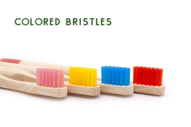 Virgin Forest Kids Bamboo Toothbrushes, Child Size Soft BPA Free Colored Safe Bristles (4 Pack) - Image 4